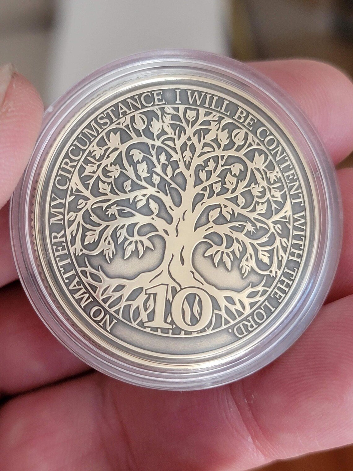 Owl Recovery Coin – Personalized Sobriety Token (Wisdom & Growth Symbol) - Image 3