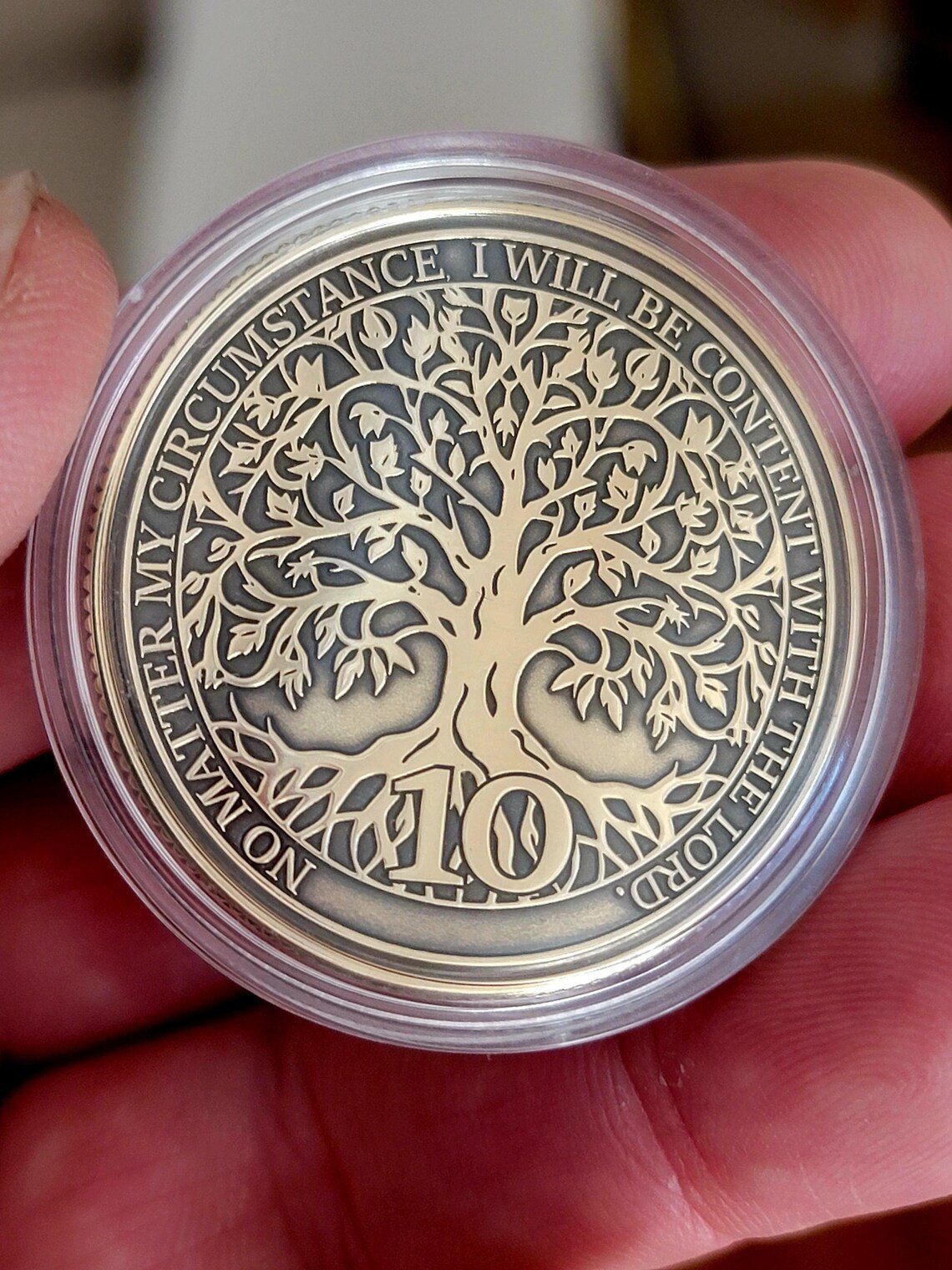 Owl Recovery Coin – Personalized Sobriety Token (Wisdom & Growth Symbol) - Image 2